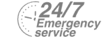 24/7 Emergency Service Pest Control in Warlingham, Chelsham, CR6. Call Now! 020 8166 9746