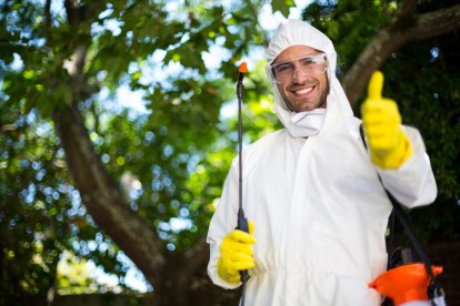 Pest Control in Warlingham, Chelsham, CR6. Call Now 020 8166 9746