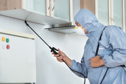 Home Pest Control, Pest Control in Warlingham, Chelsham, CR6. Call Now 020 8166 9746