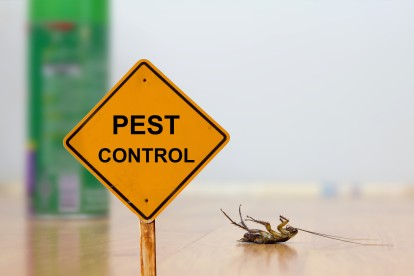 Pest Contol in Warlingham, Chelsham, CR6. Call Now 020 8166 9746